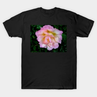 Rose After Rain T-Shirt